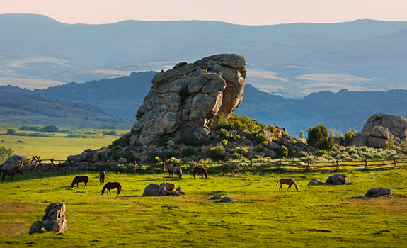 The Lodge & Spa At Brush Creek Ranch
- Activities