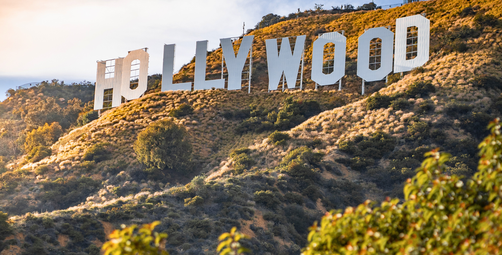 Experience the iconic Hollywood Sign from popular vantage points like Lake Hollywood Park and the Griffith Observatory.