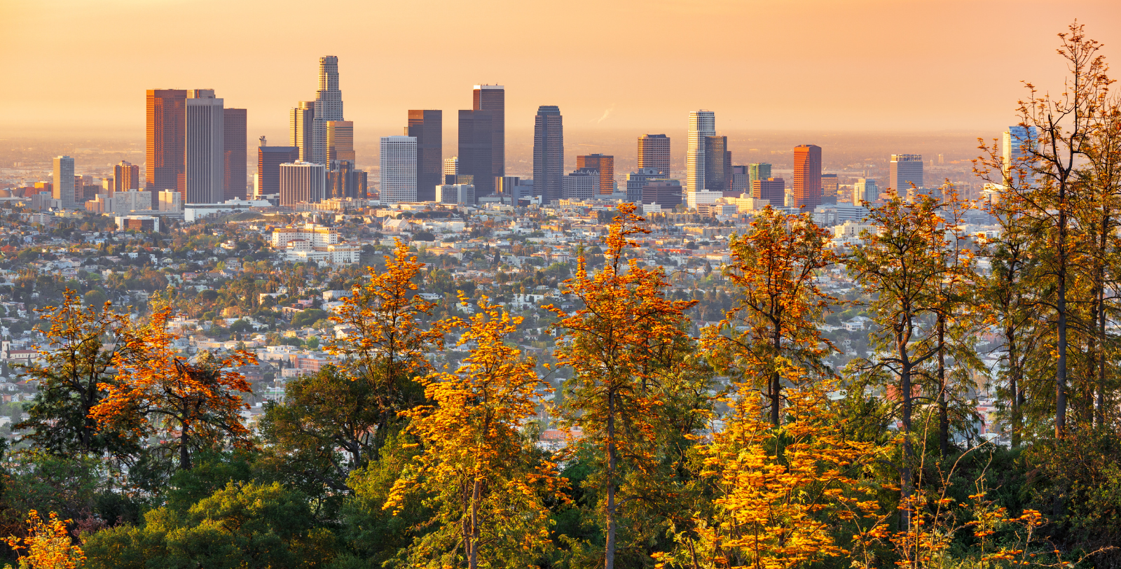 Soak up the creative energy of Los Angeles, home to Hollywood, 11 professional sports teams, and 263 days of sunshine.