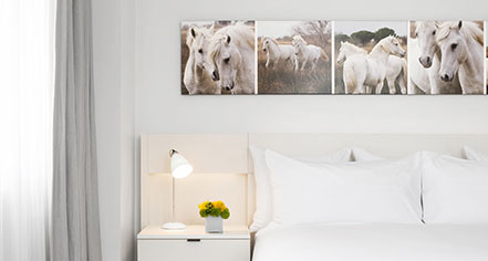Accommodations:
21c Museum Hotel Lexington by MGallery
in Lexington