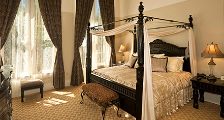 Weddings:
Plaza Hotel 1882
in Las Vegas