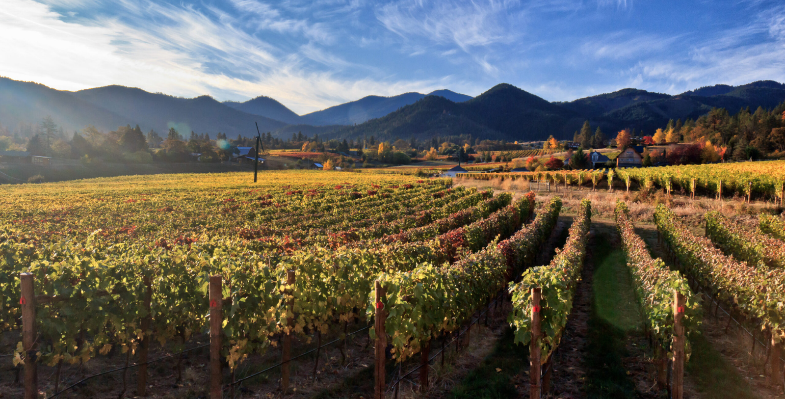 Explore the Rogue River Valley and take in the charm and beauty of this scenic valley.