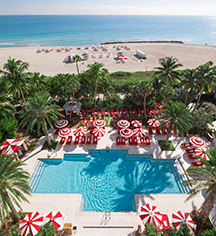 Activities:
Casa Faena
in Miami Beach