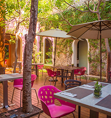 Dining at
Rosas & Xocolate Boutique Hotel
in Merida