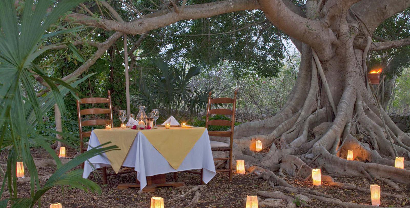 Image of Dinner under Dreams Tree, Hacienda San Jose, A Luxury Collection Hotel, Tixkokob, Mexico, 1800, Member of Historic Hotels Worldwide, Special Occasions