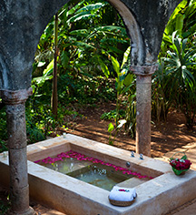 Accommodations:
Hacienda Santa Rosa, A Luxury Collection Hotel
in Santa Rosa