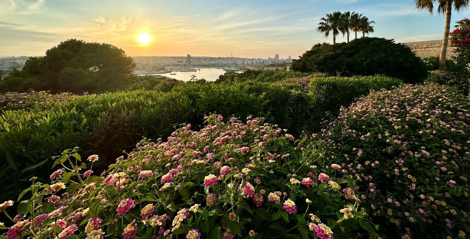 Explore the Barrakka Gardens of Malta, separated into the Upper Barrakka Gardens and the Lower Barrakka Gardens, known for their beautiful views and peaceful environment.