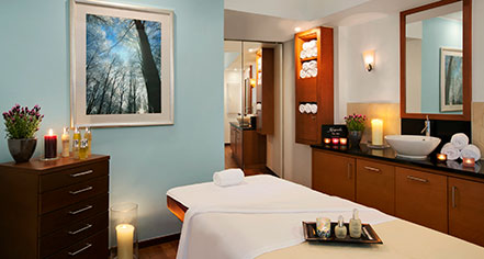 Spa:
Hotel Vier Jahreszeiten Kempinski Munich
in Munich