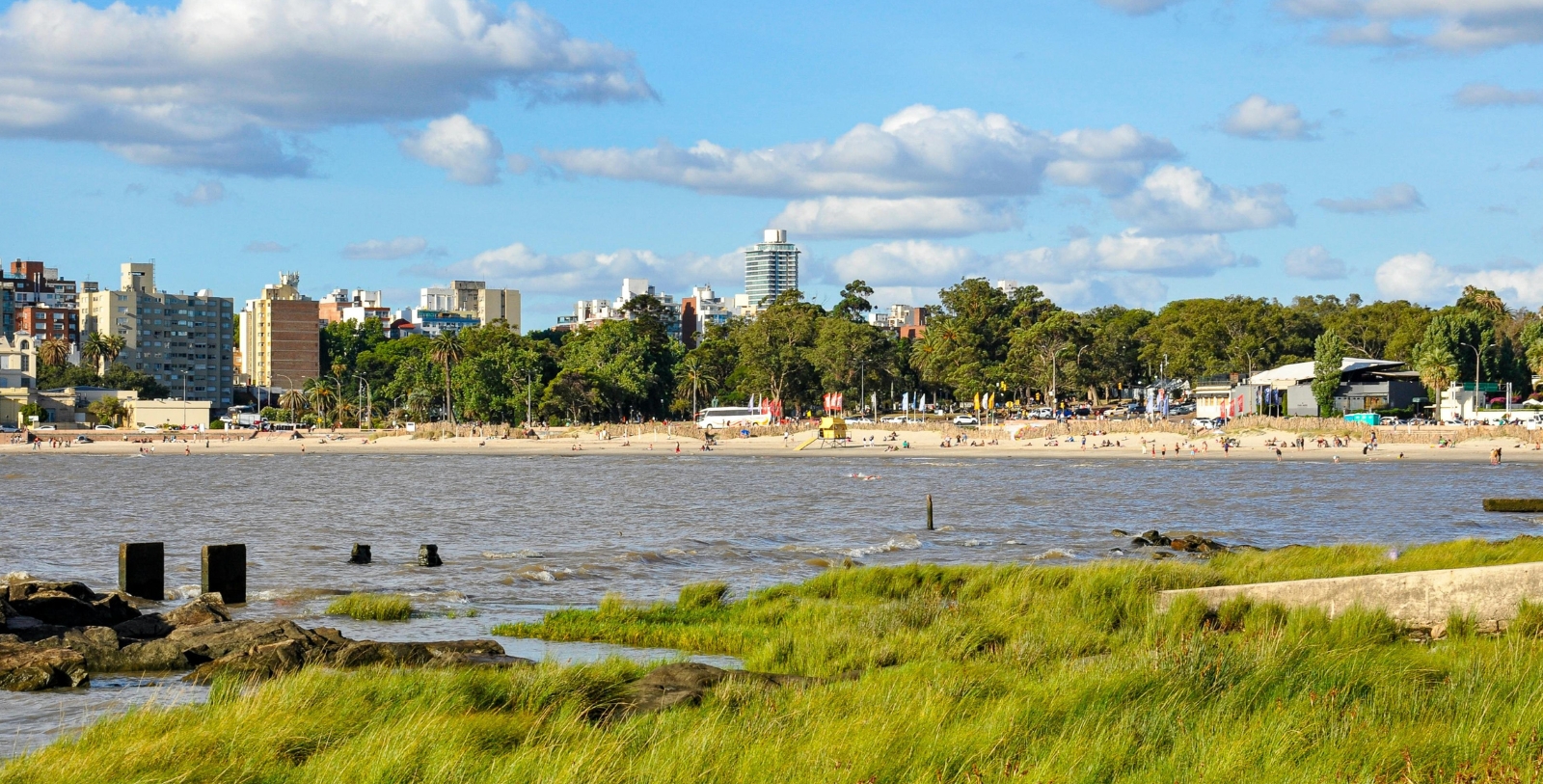 Explore the bustling coastal life along the River Plate in Uruguay.