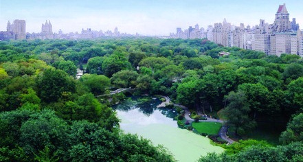 Local Attractions:
The Plaza
in New York