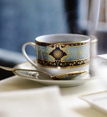 Dining at
The Plaza
in New York