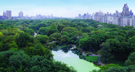 History:
The Plaza
in New York