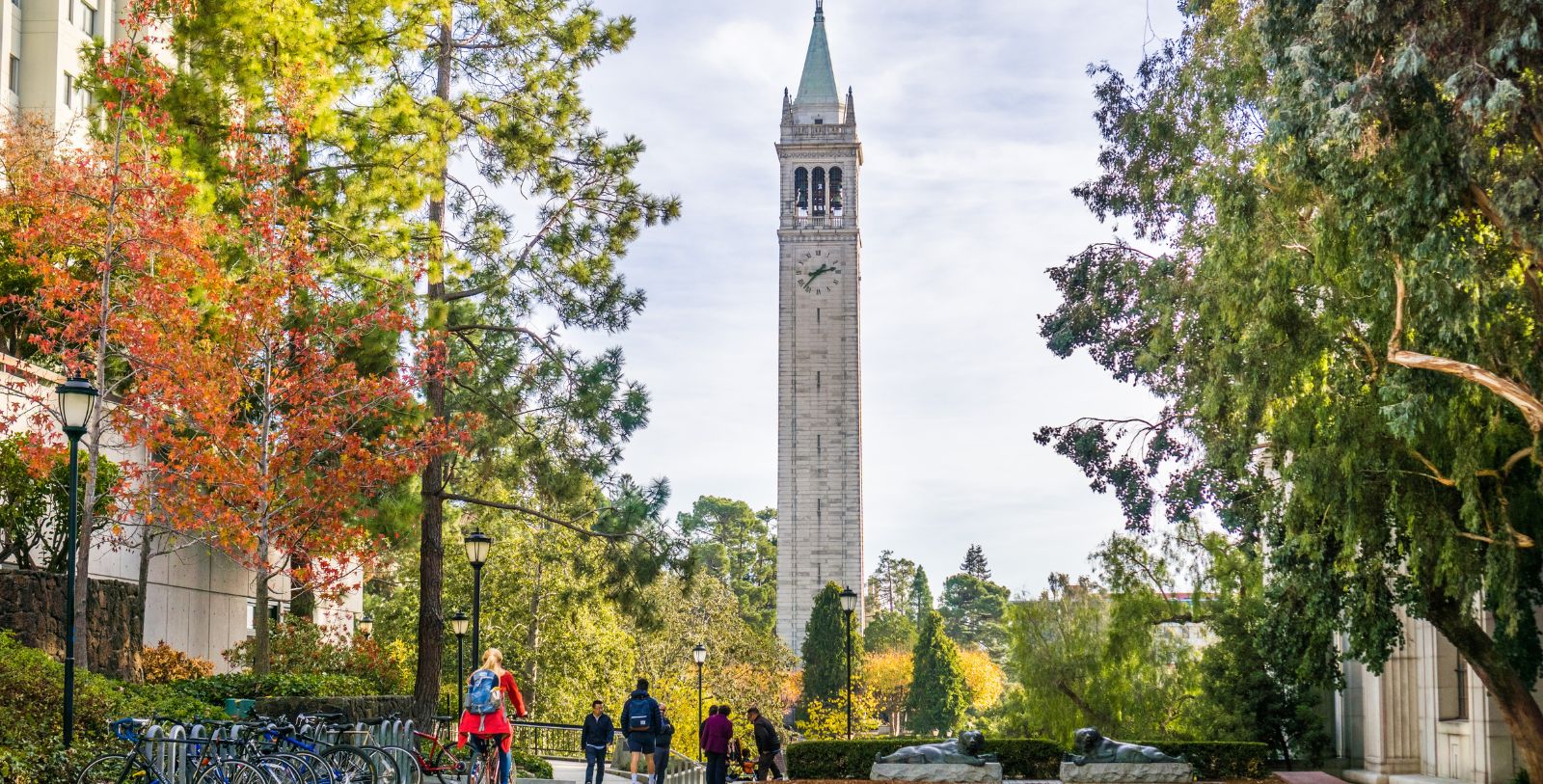 Explore one of Berkeley’s most popular attractions, the Berkeley Art Museum and Pacific Film Archive.