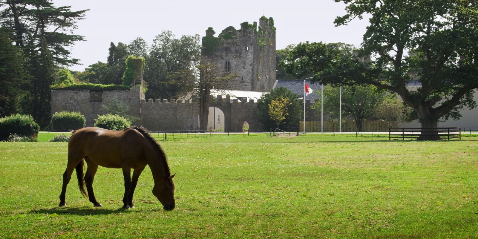 Wander the lush Irish countryside and through the quaint village of Castlemartyr.
