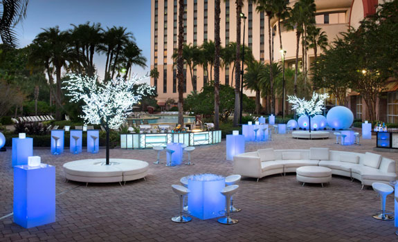 Rosen Centre Hotel
- Activities