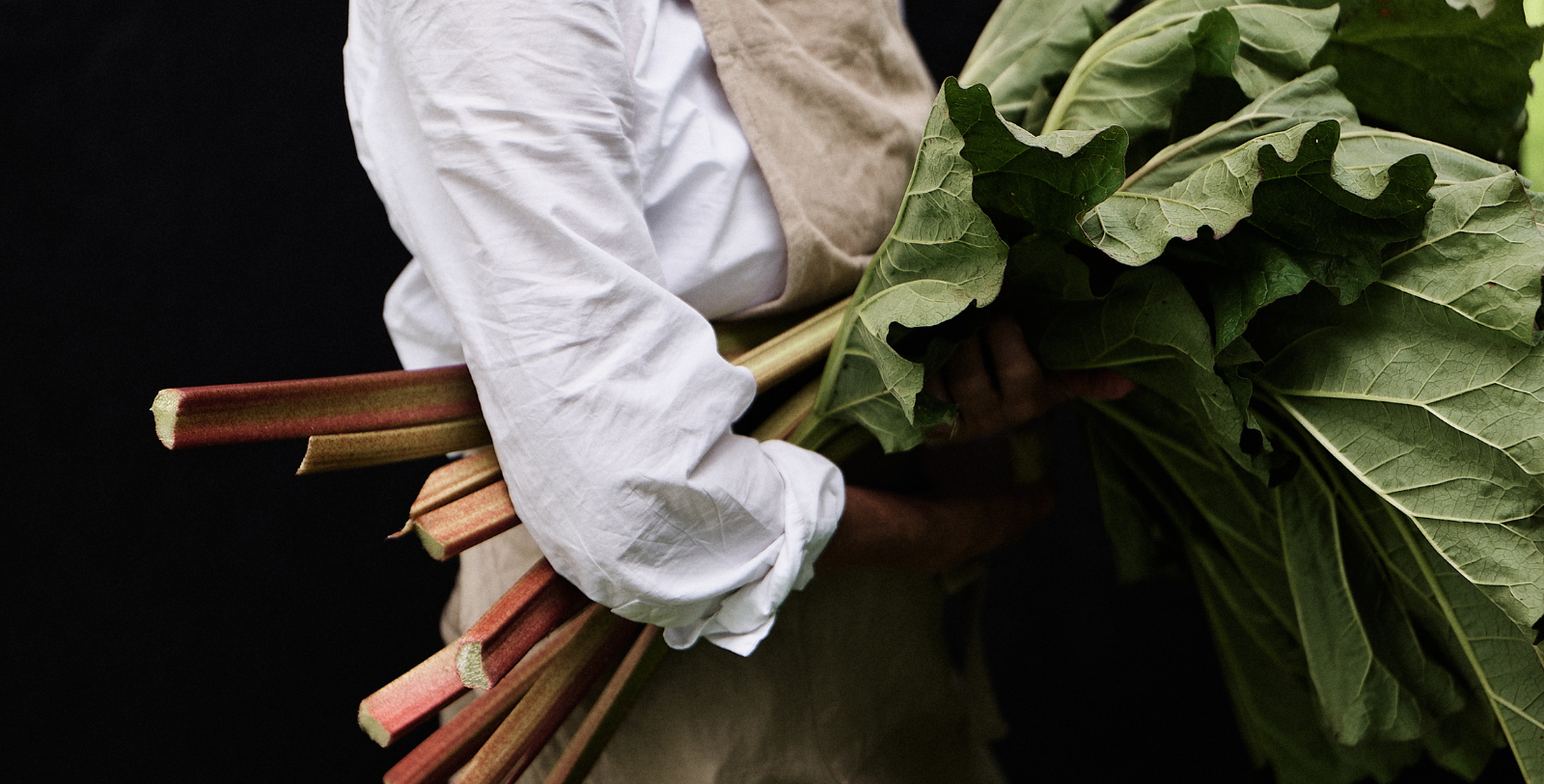 Taste the freshness of hand-picked native fruits and vegetables directly from the grounds of Hoel Gård.