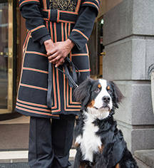 The Heathman Hotel
in Portland
