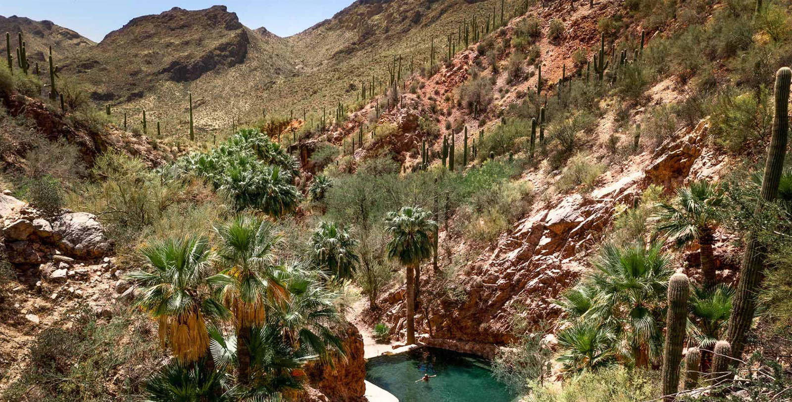 Image of spring-fed pool backdropped by Sonoran Desert at Castle Hot Springs, 1896, a Member of Historic Hotels of America since 2024 in Scottsdale, Arizona