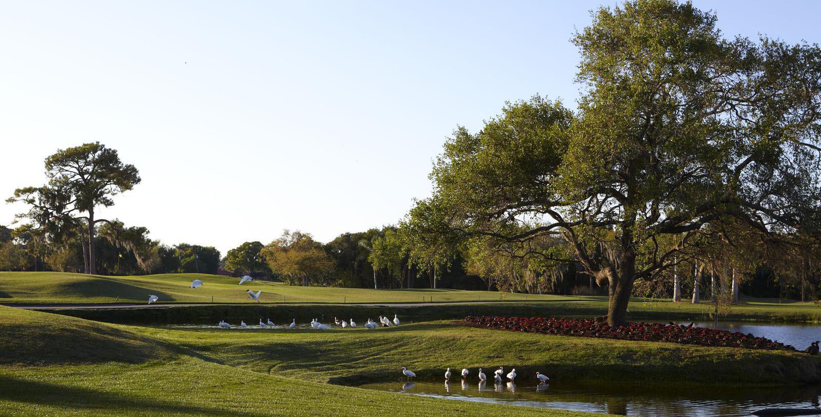 Image of Vinoy Golf Club at The Vinoy Renaissance St. Petersburg Resort & Golf Club, 1925, Member of Historic Hotels of America, in St. Petersburg, Florida, Explore