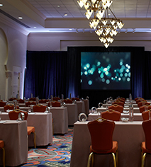 Meetings at
The Vinoy Renaissance St. Petersburg Resort & Golf Club
in St. Petersburg