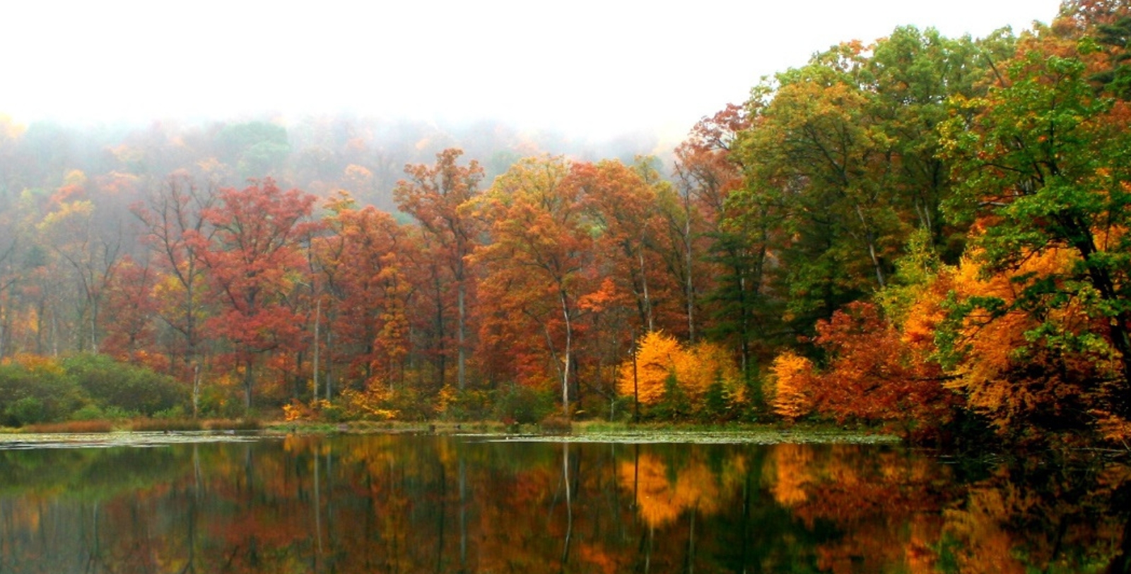Explore Shawnee Lake at Shawnee State Park.