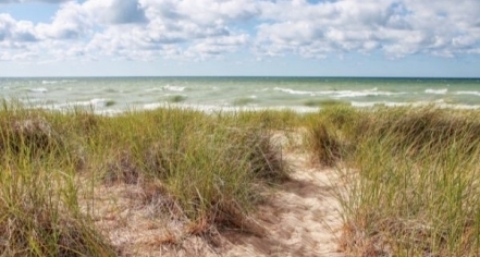 Zorn Park Beach