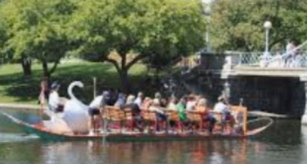 The Swan Boats In Boston Garden