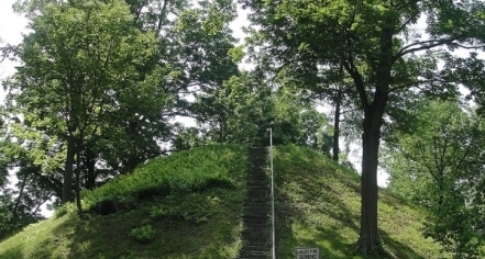 Image Of Conus At Mound Cemetery