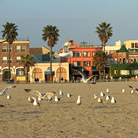 The Venice Beach Boardwalk
