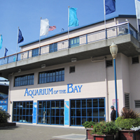 Aquarium Of The Bay