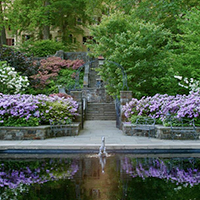 Winterthur Museum, Garden, And Library