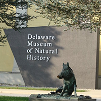 Delaware Museum Of Natural History