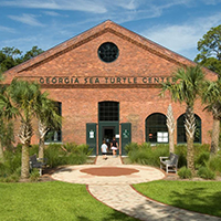 The Georgia Sea Turtle Center