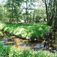 Boberger Niederung Nature Reserve