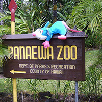 Panaewa Rainforest Zoo