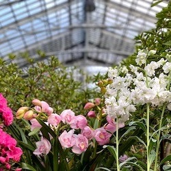 Image Of Garfield Park Conservatory, Historic Hotels Of America