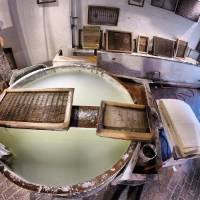 Museo Della Carta