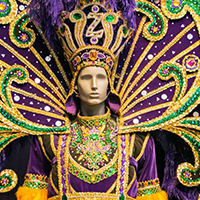 Mardi Gras Museum Of Costumes And Culture
