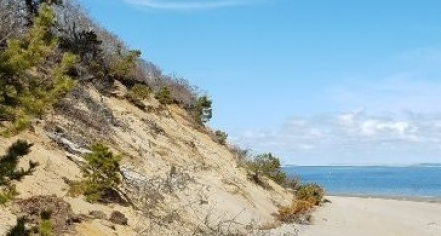 Monomoy Wildlife Refuge