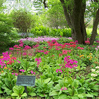 Berkshire Botanical Gardens