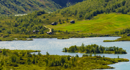 Sognefjellet Scenic Route