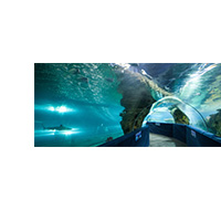 Greater Cleveland Aquarium