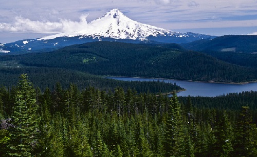 Mt. Hood National Forest