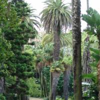 Jardim Botânico Da Universidade De Lisboa