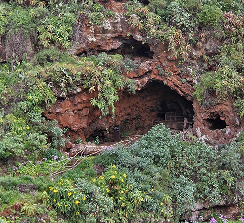 Cuevas De Buracas