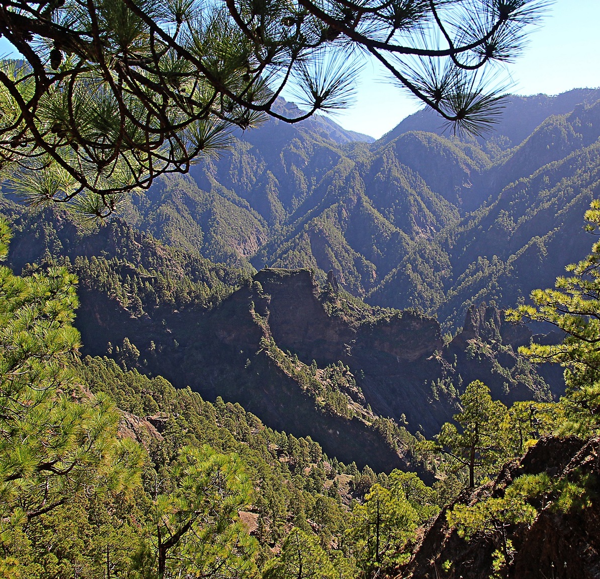 Parque Nacional De La Caldera De Taburiente (Caldera De Taburiente National Park)