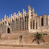Catedral De Mallorca