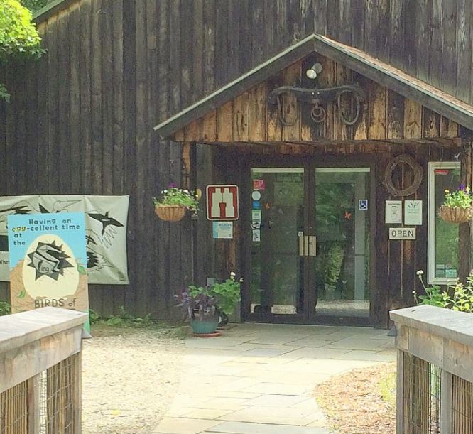 Birds Of Vermont Museum
