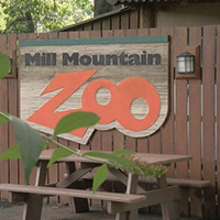 Mill Mountain Zoo