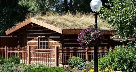 Image Of A Single-story Log Cabin With Grass Growing On Its Roof.